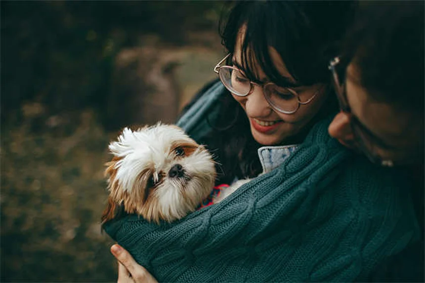 子犬の初めてのクリスマス！危険から守る完全ガイド7選
